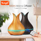 High Power WiFi Tuya Smart and Smart Life Wireless Air Humidifier